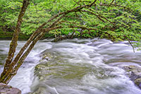 SG_GSM_Z8_20240510_120_edit_VERO